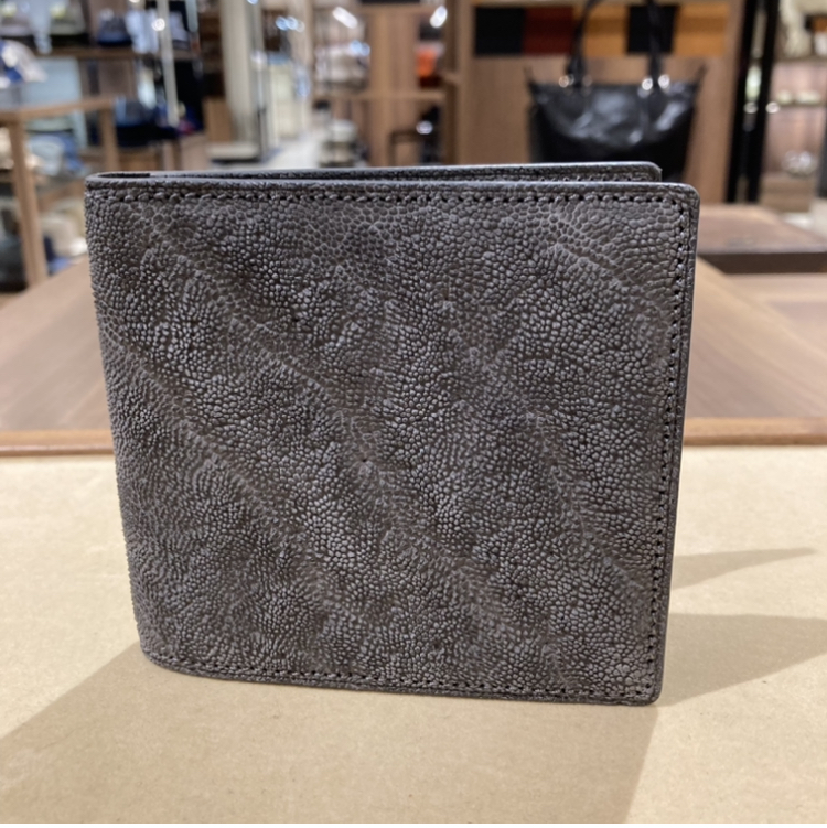 GANZOおすすめアイテムのご紹介 | 売場ニュース | 博多阪急 GANZOおすすめアイテムのご紹介 | 売場ニュース | 博多阪急