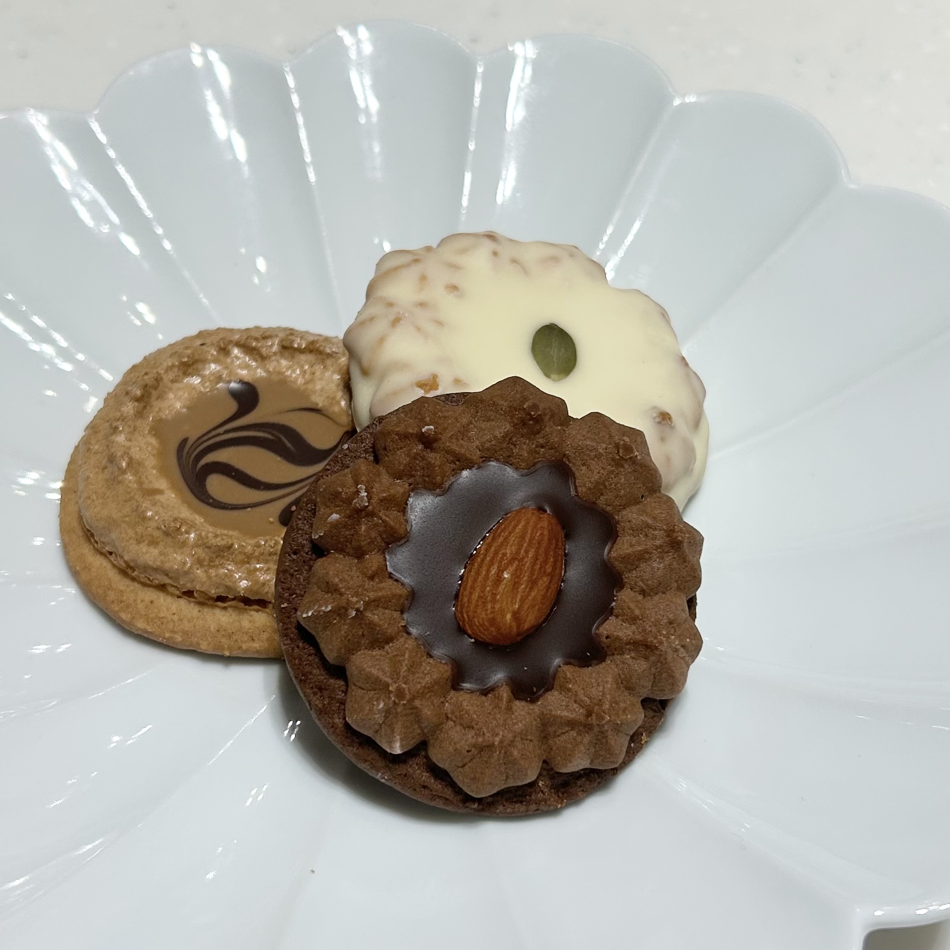 We Love Cookies! クッキーのご紹介① | 売場ニュース | 博多阪急