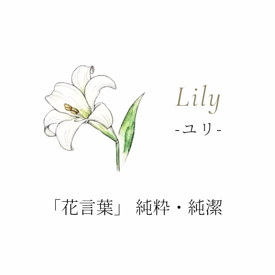 TAKE-UP ONLINE SHOP/テイクアップ公式オンラインショップ