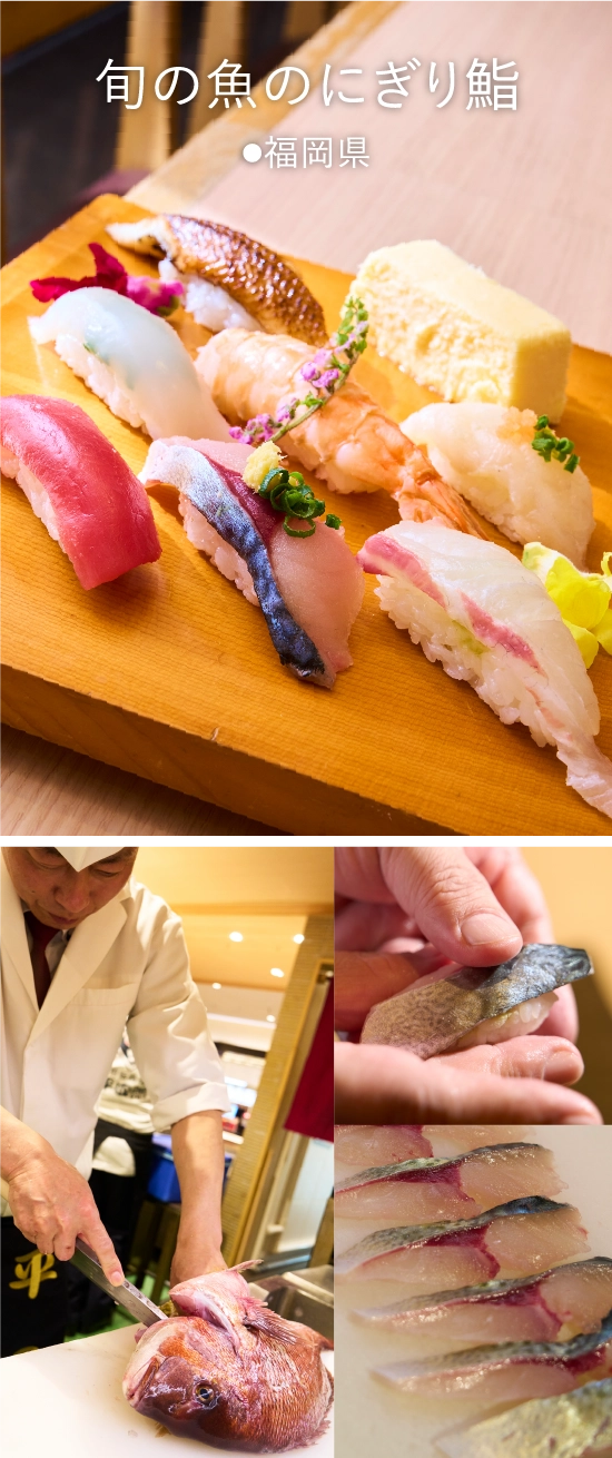 旬の魚のにぎり鮨福岡県