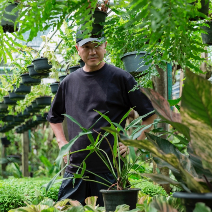 【セール中】カンタロープアイランド（枝変わり） SHOUCHIKU-EN Bizarre Plants EXPOⅡ | 売場ニュース | 阪急うめだ本店