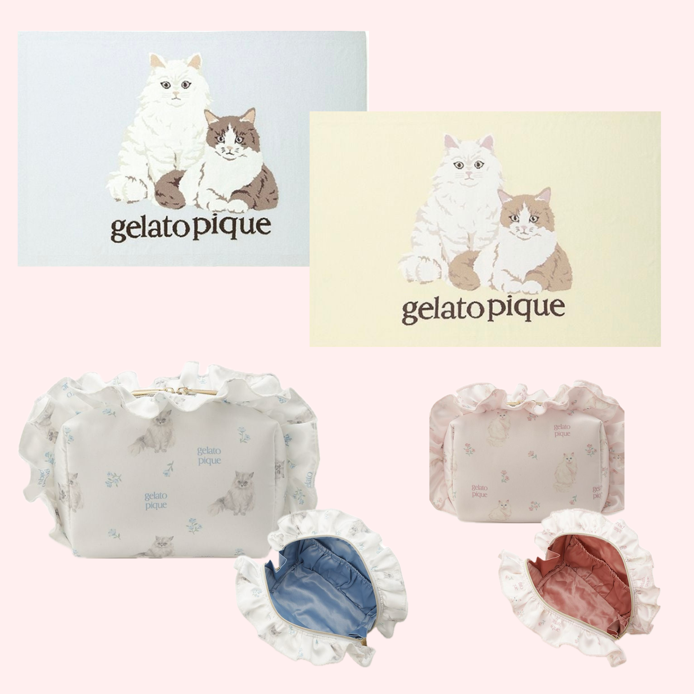 ジェラートピケ」春らしい華やかカラーのキャットシリーズ | 売場