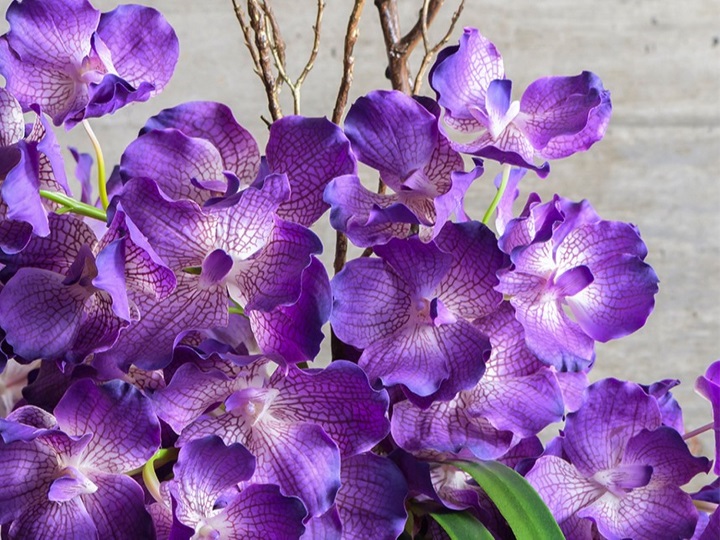 エミリオ・ロバのアーティフィシャルフラワーコレクション | 売場