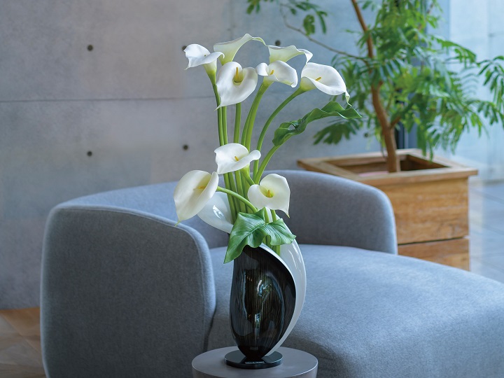 エミリオロバ 超特大 M*i様 エミリオロバ 超特大 エミリオ・ロバ