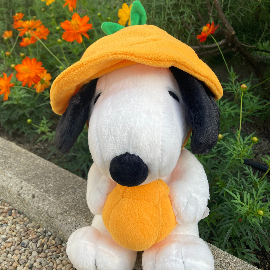 Peanuts LIFE＆TIMES】スヌーピーガーデンがやってくる！ | 売場